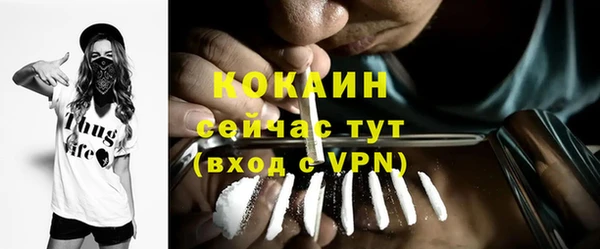 шишки Вязники