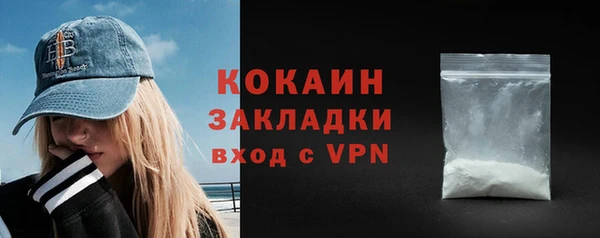 ешки Горняк