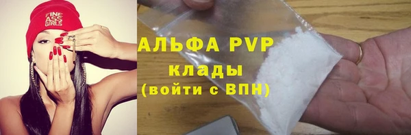 шишки Вязники